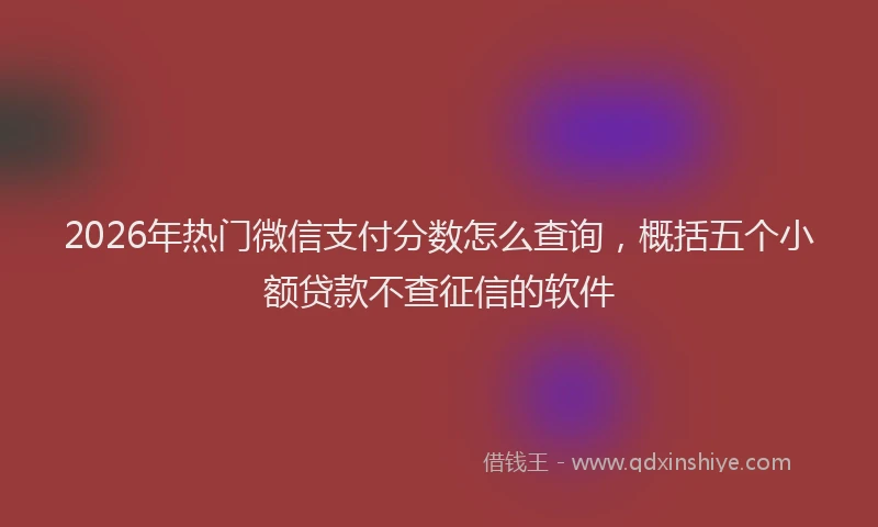 2026年热门微信支付分数怎么查询，概括五个小额贷款不查征信的软件