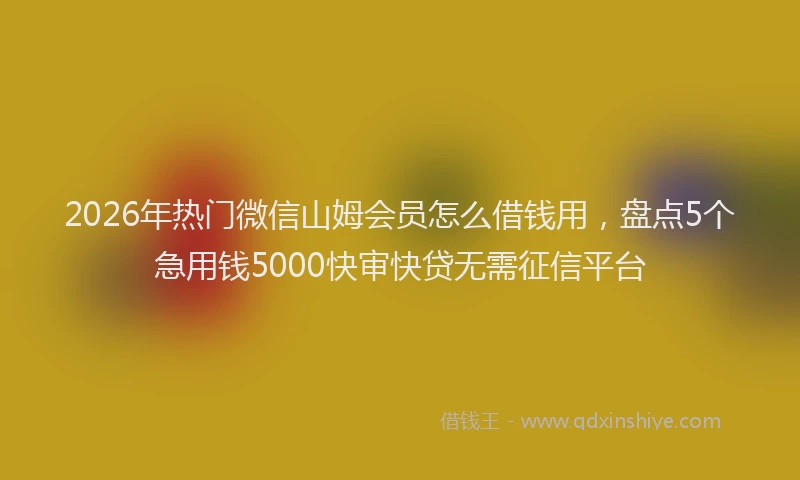 2026年热门微信山姆会员怎么借钱用，盘点5个急用钱5000快审快贷无需征信平台