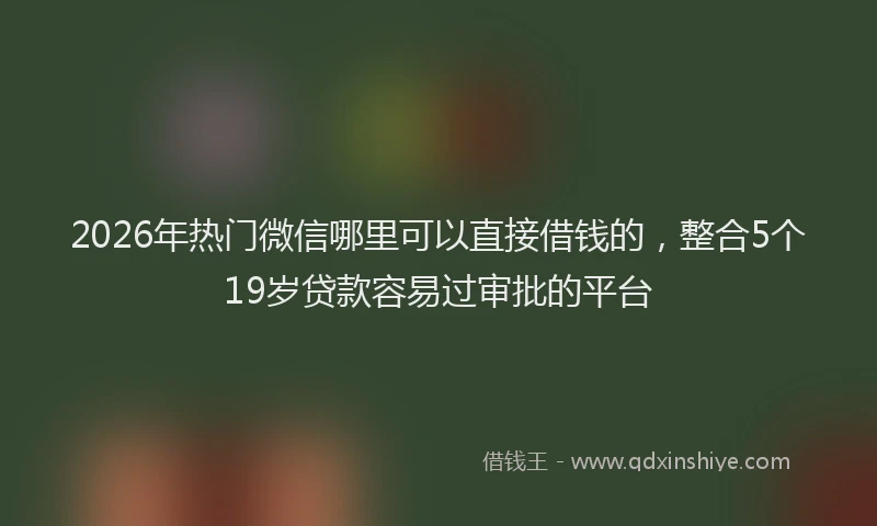 2026年热门微信哪里可以直接借钱的，整合5个19岁贷款容易过审批的平台