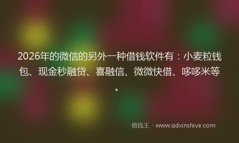 2026年的微信的另外一种借钱软件有：小麦粒钱包、现金秒融贷、喜融信、微微快借、哆哆米等。