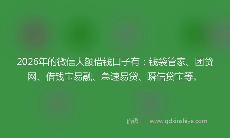 2026年的微信大额借钱口子有:钱袋管家、团贷网、借钱宝易融、急速易贷、瞬信贷宝等。