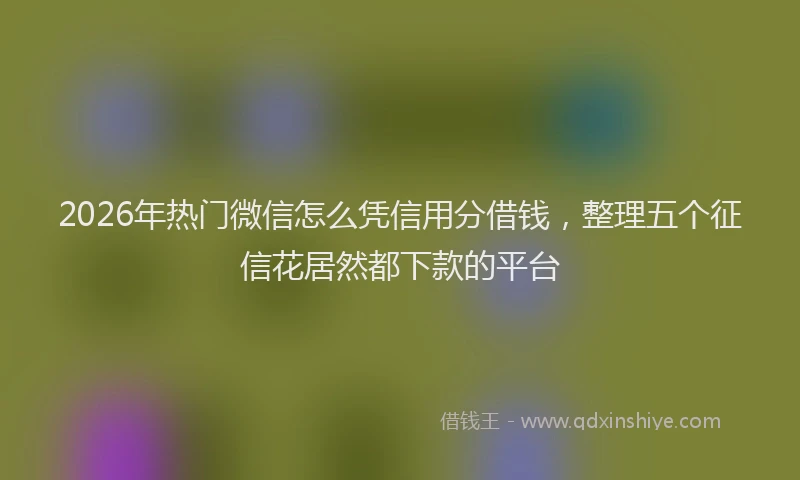 2026年热门微信怎么凭信用分借钱，整理五个征信花居然都下款的平台