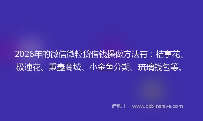 2026年的微信微粒贷借钱操做方法有：桔享花、极速花、秉鑫商城、小金鱼分期、琉璃钱包等。