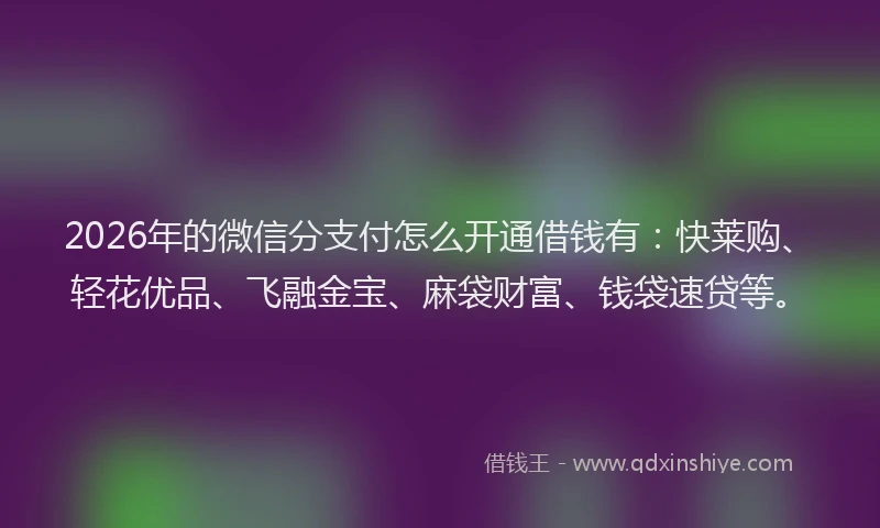 2026年的微信分支付怎么开通借钱有：快莱购、轻花优品、飞融金宝、麻袋财富、钱袋速贷等。