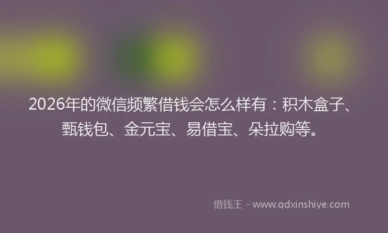 2026年的微信频繁借钱会怎么样有：积木盒子、甄钱包、金元宝、易借宝、朵拉购等。