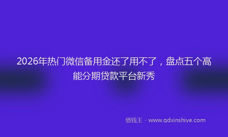 2026年热门微信备用金还了用不了，盘点五个高能分期贷款平台新秀