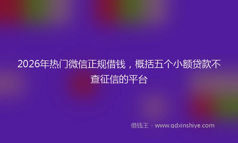 2026年热门微信正规借钱，概括五个小额贷款不查征信的平台