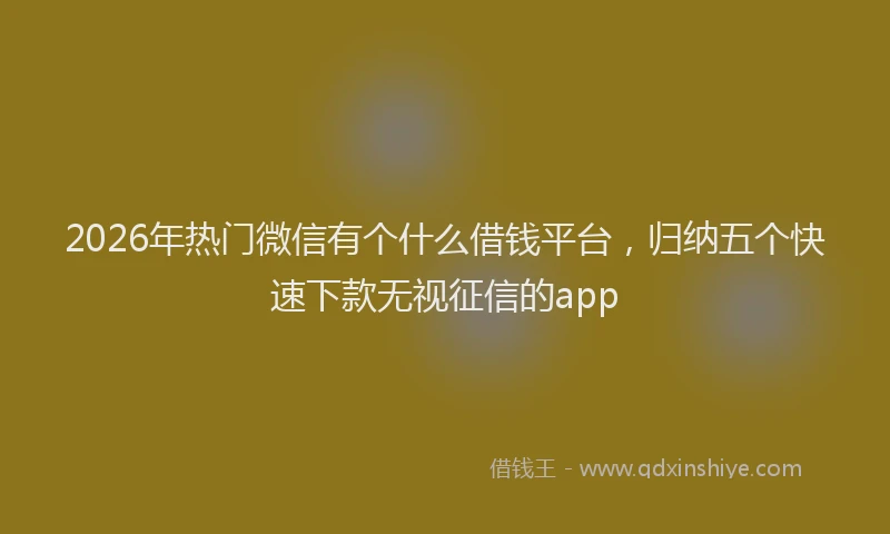 2026年热门微信有个什么借钱平台，归纳五个快速下款无视征信的app