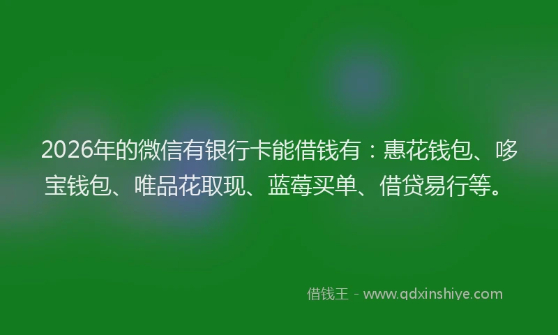 2026年的微信有银行卡能借钱有：惠花钱包、哆宝钱包、唯品花取现、蓝莓买单、借贷易行等。