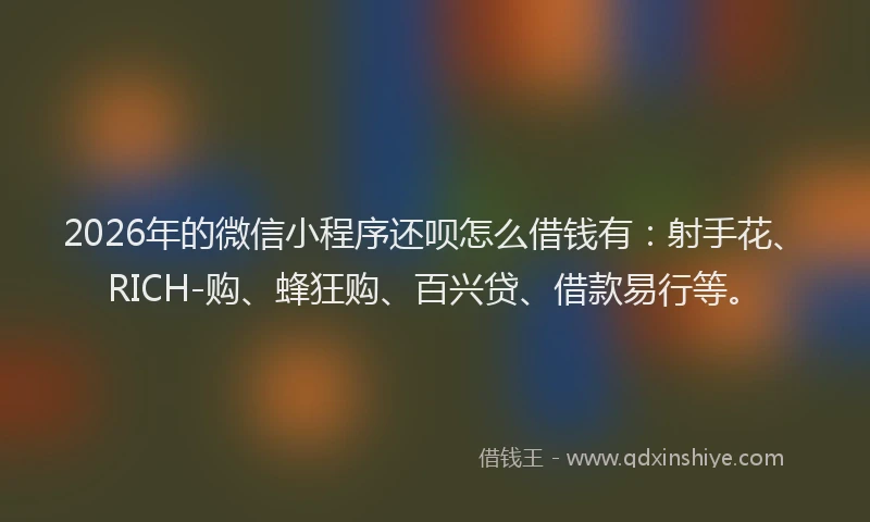 2026年的微信小程序还呗怎么借钱有：射手花、RICH-购、蜂狂购、百兴贷、借款易行等。