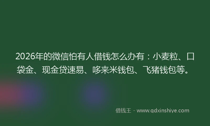 2026年的微信怕有人借钱怎么办有：小麦粒、口袋金、现金贷速易、哆来米钱包、飞猪钱包等。