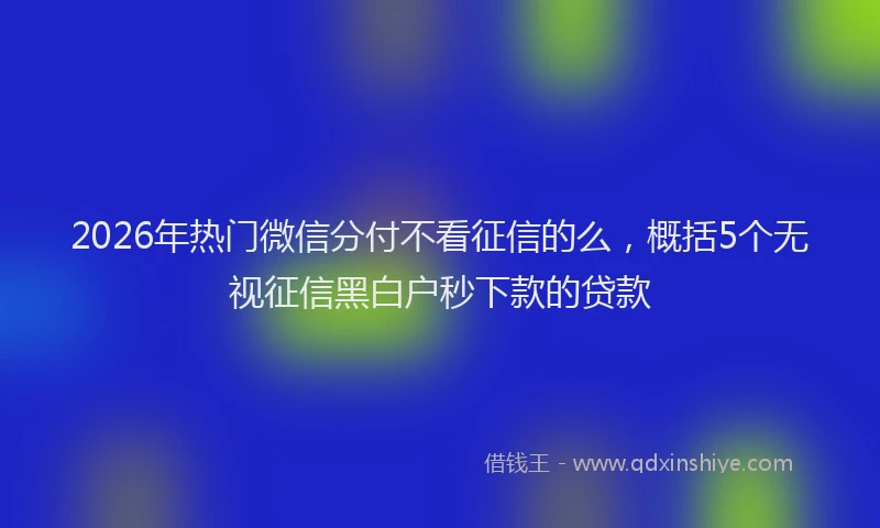 2026年热门微信分付不看征信的么，概括5个无视征信黑白户秒下款的贷款