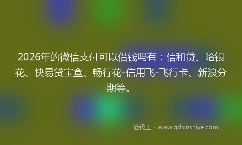 2026年的微信支付可以借钱吗有：信和贷、哈银花、快易贷宝盒、畅行花-信用飞-飞行卡、新浪分期等。