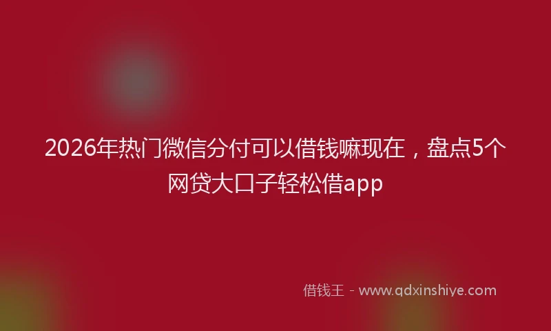 2026年热门微信分付可以借钱嘛现在，盘点5个网贷大口子轻松借app
