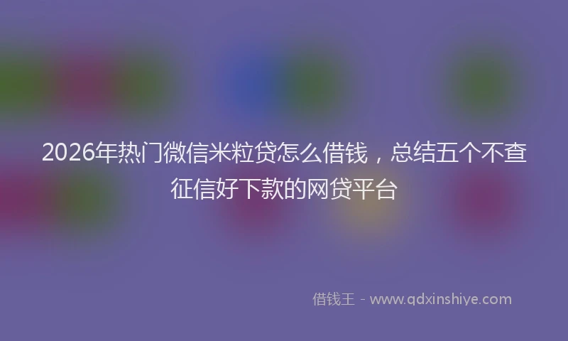 2026年热门微信米粒贷怎么借钱，总结五个不查征信好下款的网贷平台