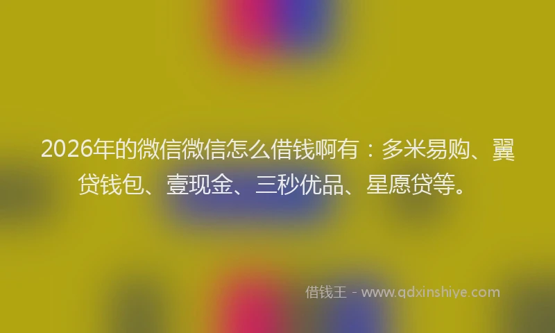 2026年的微信微信怎么借钱啊有：多米易购、翼贷钱包、壹现金、三秒优品、星愿贷等。