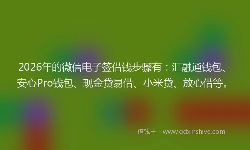 2026年的微信电子签借钱步骤有：汇融通钱包、安心Pro钱包、现金贷易借、小米贷、放心借等。