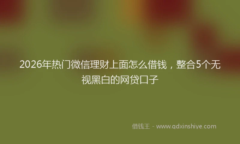 2026年热门微信理财上面怎么借钱，整合5个无视黑白的网贷口子