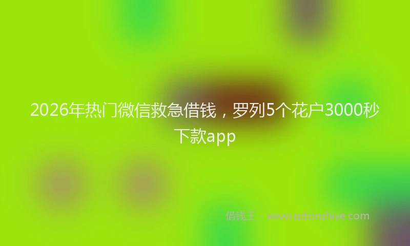2026年热门微信救急借钱，罗列5个花户3000秒下款app