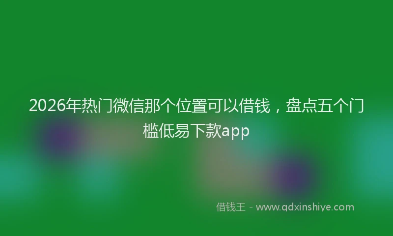 2026年热门微信那个位置可以借钱，盘点五个门槛低易下款app