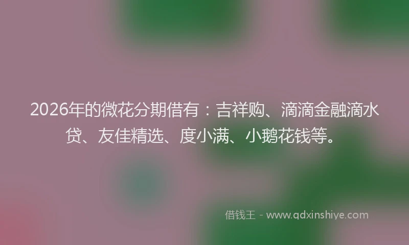 2026年的微花分期借有：吉祥购、滴滴金融滴水贷、友佳精选、度小满、小鹅花钱等。