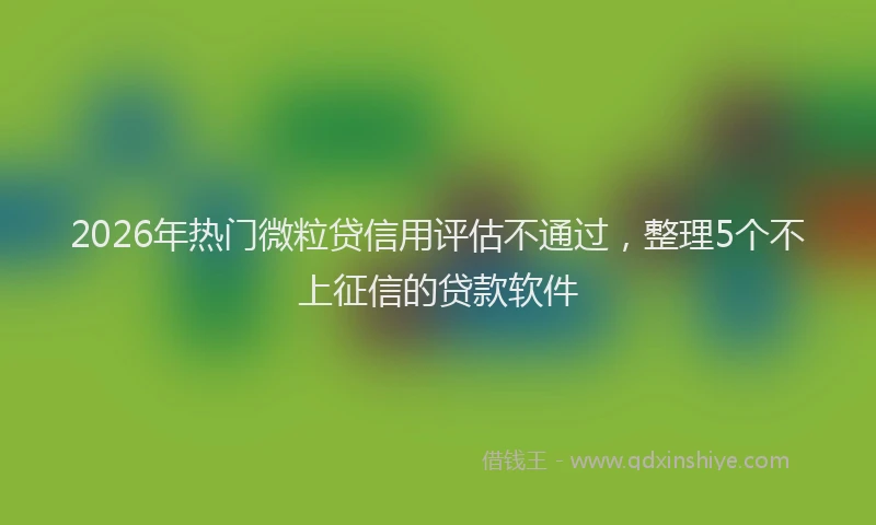 2026年热门微粒贷信用评估不通过，整理5个不上征信的贷款软件
