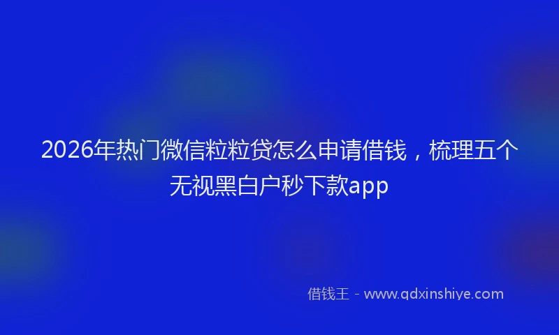 2026年热门微信粒粒贷怎么申请借钱，梳理五个无视黑白户秒下款app