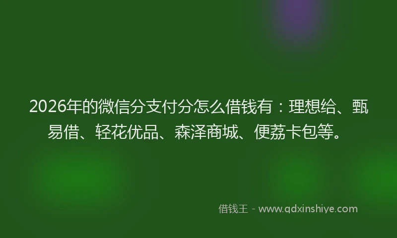 2026年的微信分支付分怎么借钱有：理想给、甄易借、轻花优品、森泽商城、便荔卡包等。