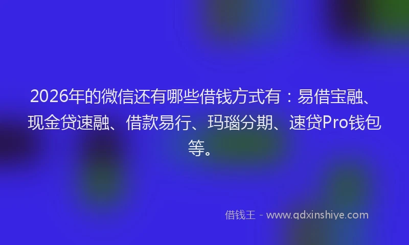 2026年的微信还有哪些借钱方式有：易借宝融、现金贷速融、借款易行、玛瑙分期、速贷Pro钱包等。