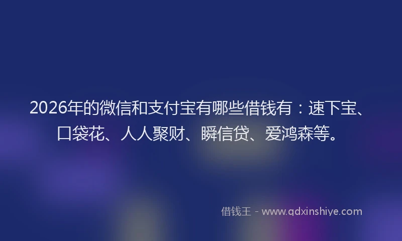 2026年的微信和支付宝有哪些借钱有：速下宝、口袋花、人人聚财、瞬信贷、爱鸿森等。