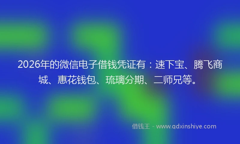 2026年的微信电子借钱凭证有：速下宝、腾飞商城、惠花钱包、琉璃分期、二师兄等。
