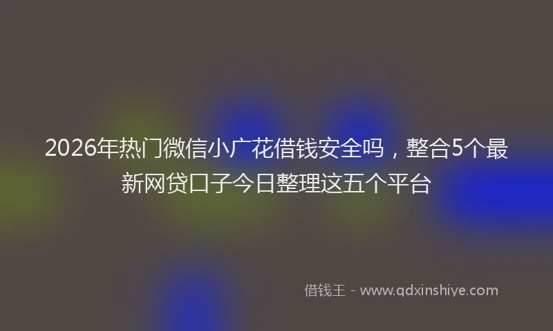 2026年热门微信小广花借钱安全吗,整合5个最新网贷口子今日整理这五个平台