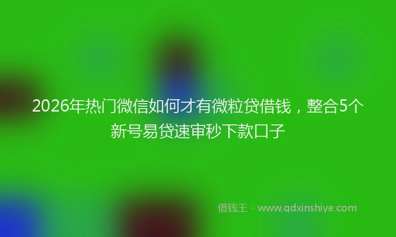 2026年热门微信如何才有微粒贷借钱，整合5个新号易贷速审秒下款口子