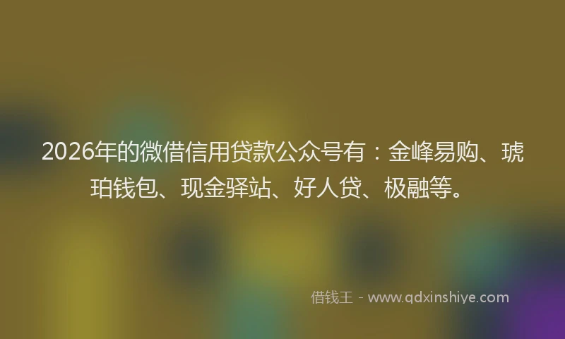 2026年的微借信用贷款公众号有：金峰易购、琥珀钱包、现金驿站、好人贷、极融等。