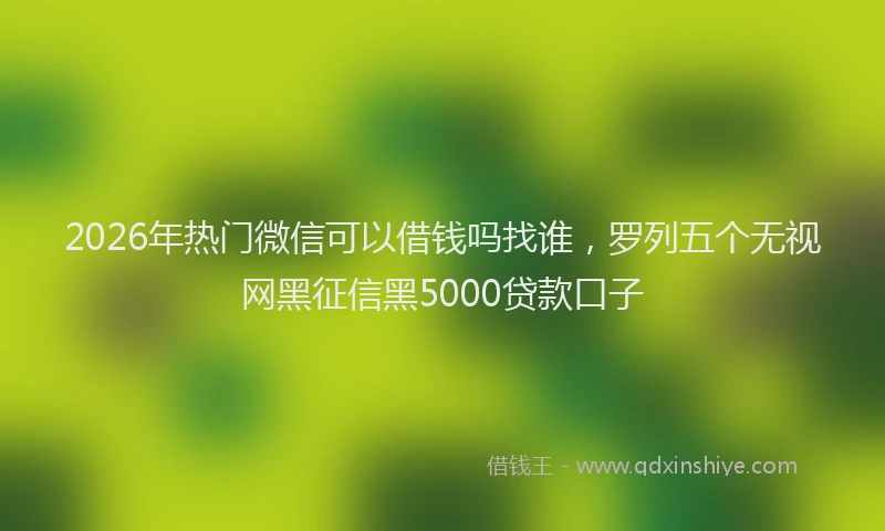 2026年热门微信可以借钱吗找谁，罗列五个无视网黑征信黑5000贷款口子