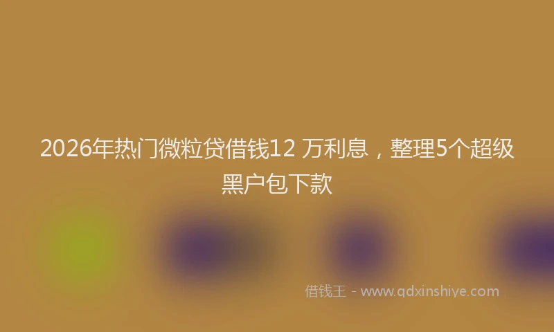 2026年热门微粒贷借钱12 万利息，整理5个超级黑户包下款