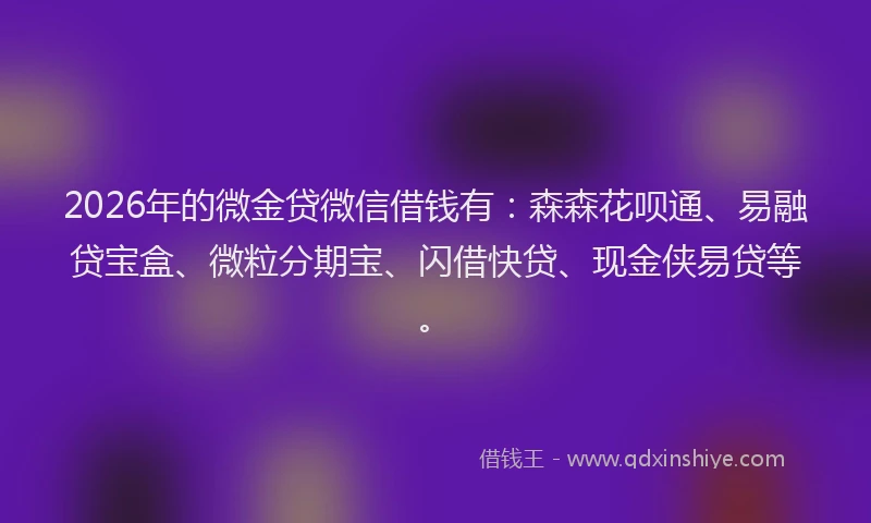 2026年的微金贷微信借钱有：森森花呗通、易融贷宝盒、微粒分期宝、闪借快贷、现金侠易贷等。