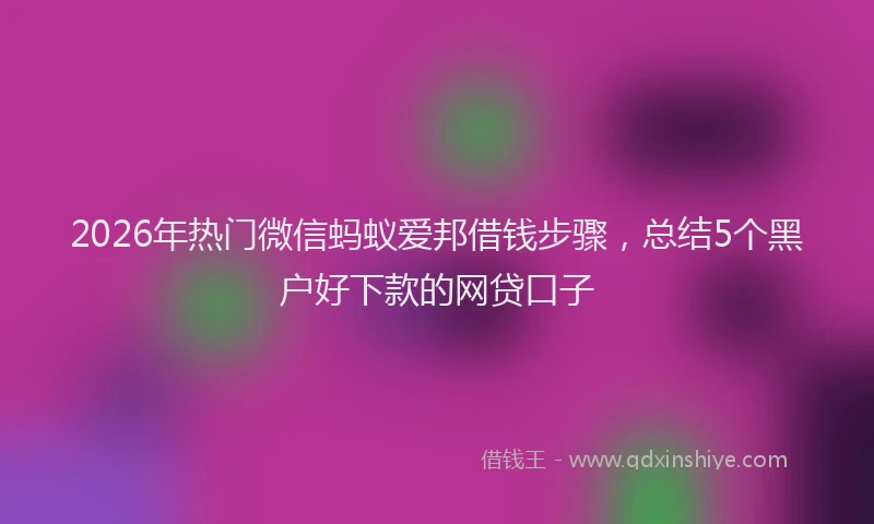 2026年热门微信蚂蚁爱邦借钱步骤,总结5个黑户好下款的网贷口子
