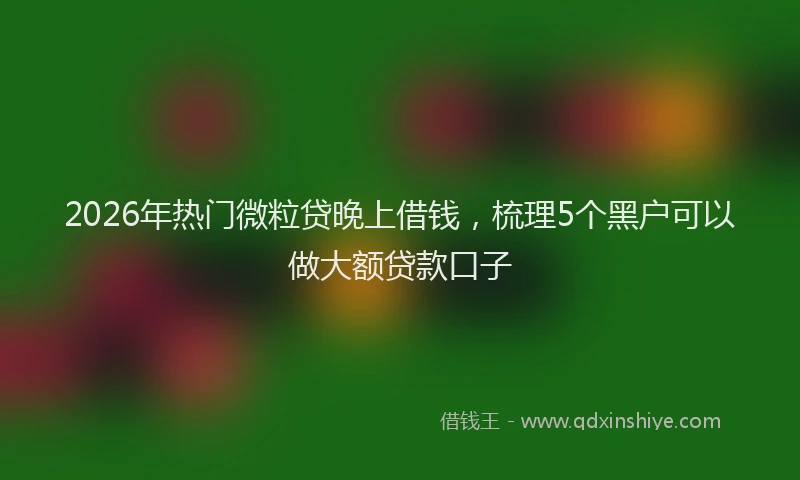 2026年热门微粒贷晚上借钱，梳理5个黑户可以做大额贷款口子