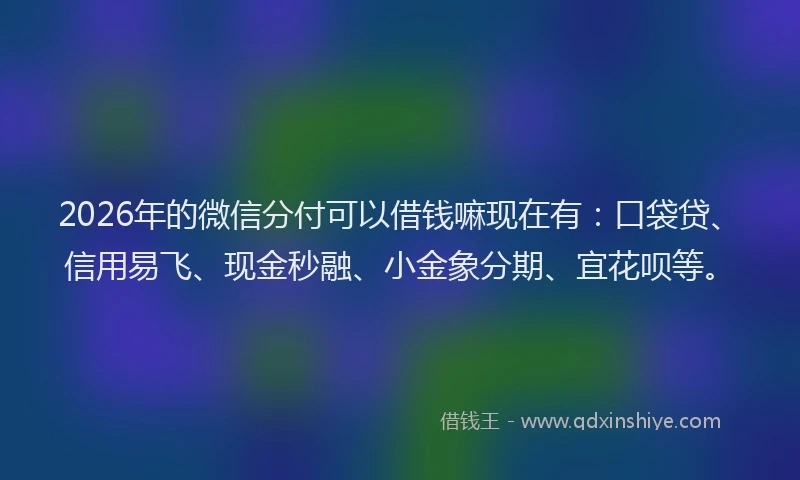 2026年的微信分付可以借钱嘛现在有：口袋贷、信用易飞、现金秒融、小金象分期、宜花呗等。