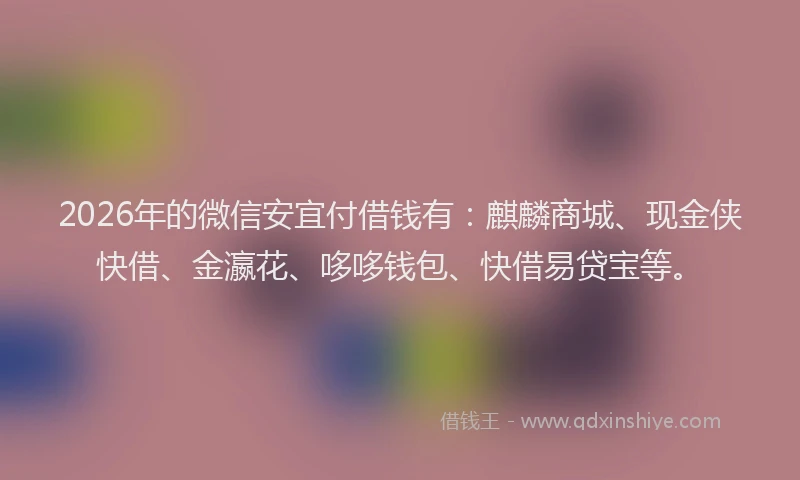 2026年的微信安宜付借钱有：麒麟商城、现金侠快借、金瀛花、哆哆钱包、快借易贷宝等。