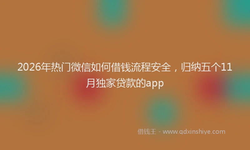 2026年热门微信如何借钱流程安全,归纳五个11月独家贷款的app