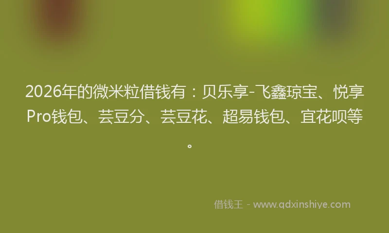 2026年的微米粒借钱有：贝乐享-飞鑫琼宝、悦享Pro钱包、芸豆分、芸豆花、超易钱包、宜花呗等。