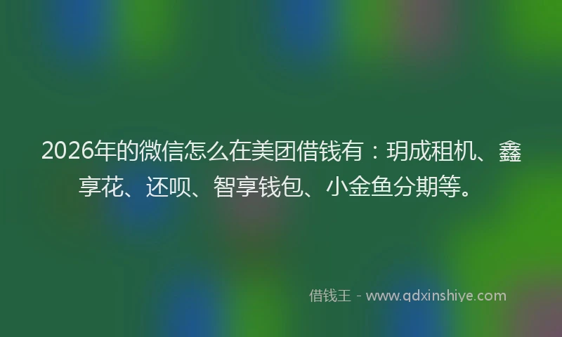 2026年的微信怎么在美团借钱有：玥成租机、鑫享花、还呗、智享钱包、小金鱼分期等。