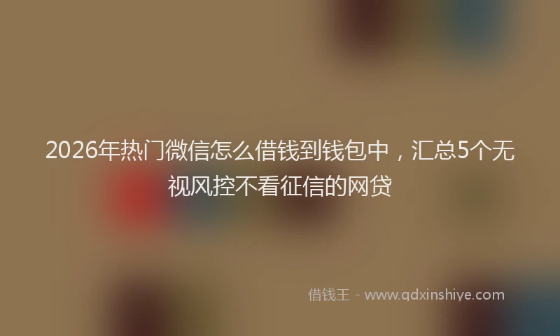 2026年热门微信怎么借钱到钱包中，汇总5个无视风控不看征信的网贷