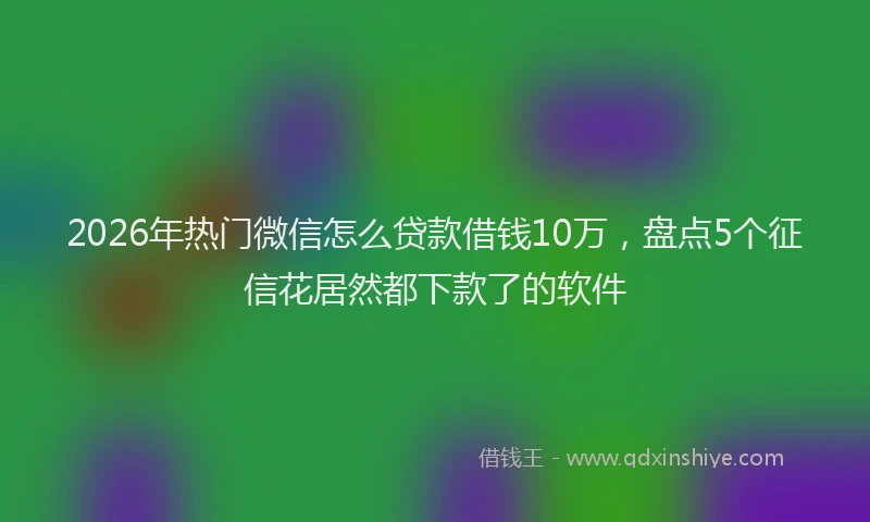 2026年热门微信怎么贷款借钱10万，盘点5个征信花居然都下款了的软件