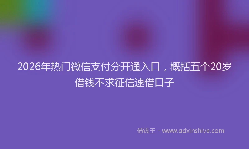2026年热门微信支付分开通入口,概括五个20岁借钱不求征信速借口子