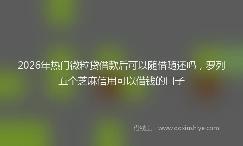 2026年热门微粒贷借款后可以随借随还吗，罗列五个芝麻信用可以借钱的口子