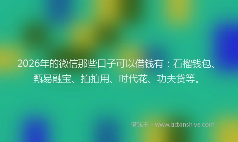 2026年的微信那些口子可以借钱有：石榴钱包、甄易融宝、拍拍用、时代花、功夫贷等。