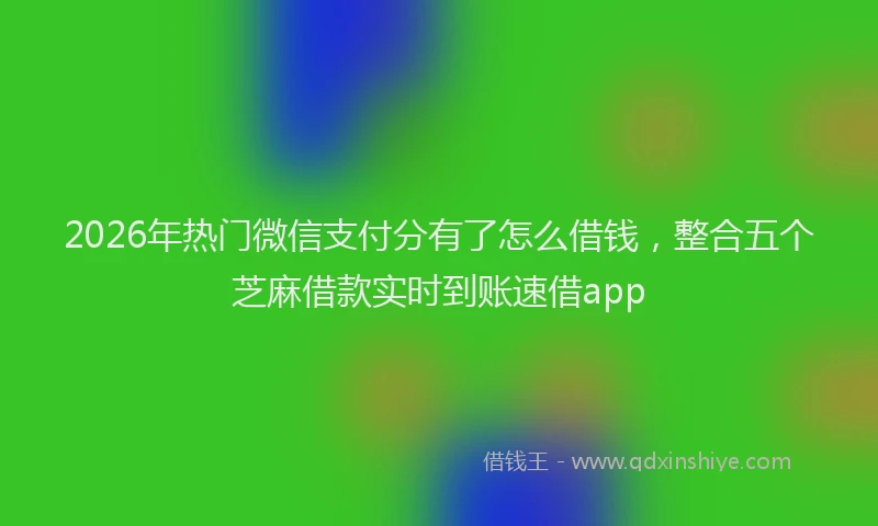 2026年热门微信支付分有了怎么借钱,整合五个芝麻借款实时到账速借app